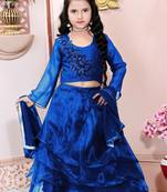 Blue embroidered cotton silk a line lehenga choli dupatta