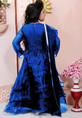 Blue embroidered cotton silk a line lehenga choli dupatta 3