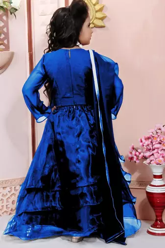 Blue embroidered cotton silk a line lehenga choli dupatta