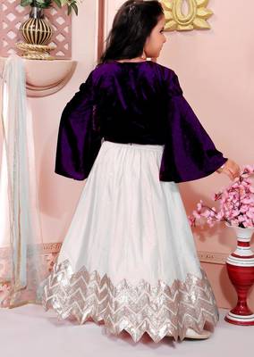 Purple embroidered velvet a line lehenga choli dupatta 4