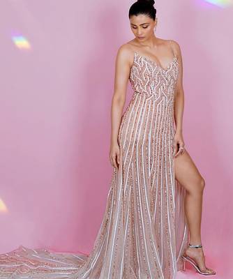 Silver Embroidered Gown With Trail 5