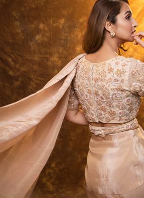 Beige tissue plain saree with embroidered blouse & belt 3