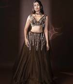 brown organza embroidered Lehenga