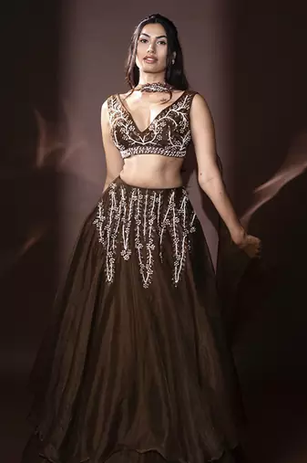 brown organza embroidered Lehenga