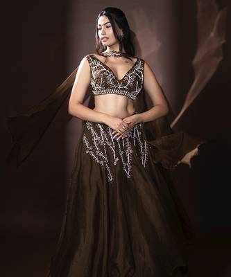 brown organza embroidered Lehenga 3