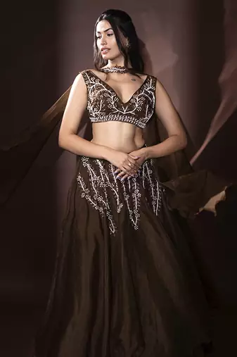 brown organza embroidered Lehenga