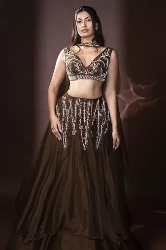 brown organza embroidered Lehenga