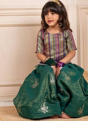 Girls banarasi brockade top and fandy crush embroidered lehenga (set of 2) 1