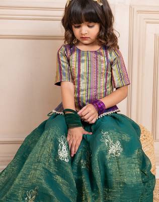 Girls banarasi brockade top and fandy crush embroidered lehenga (set of 2) 3