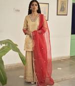 Gold tissue plain kurta sets