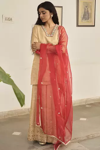 Gold tissue plain kurta sets