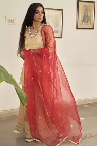 Gold tissue plain kurta sets