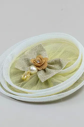 Golden plain net fascinator