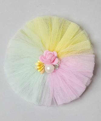 Multicolor plain net hair clip 3