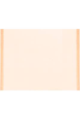 cotton handloom light tan sequin saree with blouse piece 3