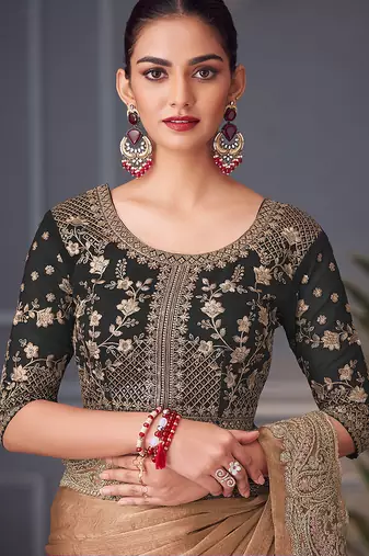 Light brown embroidered double tone silk blend saree