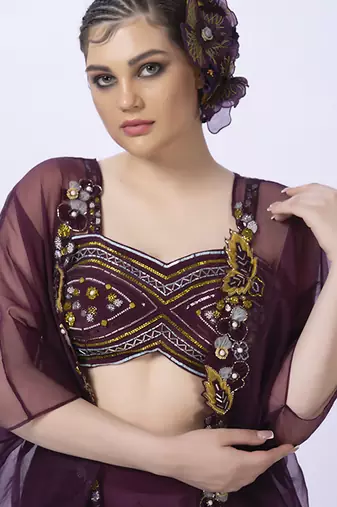 Wine organza embroidered blouse with pant & shrug