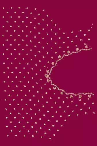 Wine handwork zarkan border designer chiffon saree with blouse piece