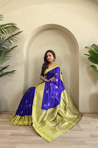 violet Soft art silk saree with coin weaving design