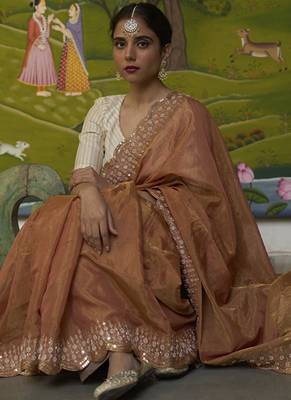Rust kota silk hand embroidered saree 3