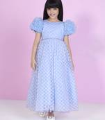 Blue all over embriodery net party gown