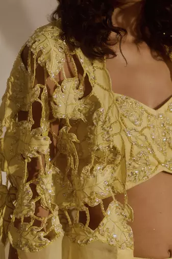 Yellow plain organza pant paired with embroidered blouse and cape