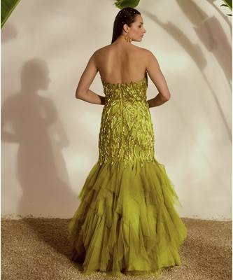 Green embroidered net gown 2