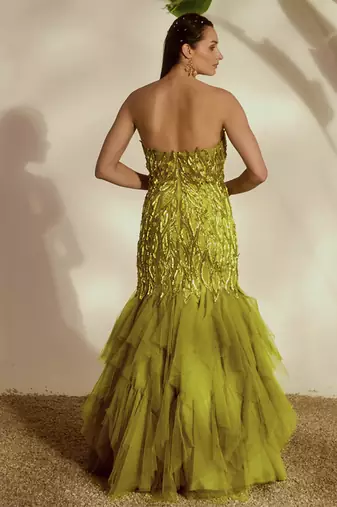 Green embroidered net gown