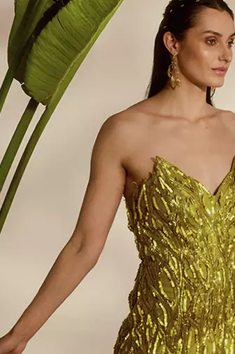 Green embroidered net gown