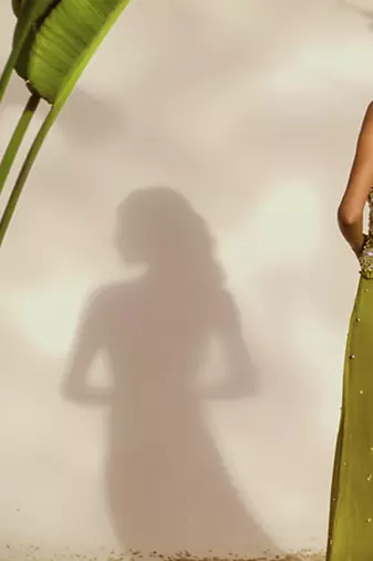 Green plain organza lehenga with embroidered bustier