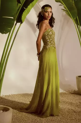 Green plain organza lehenga with embroidered bustier