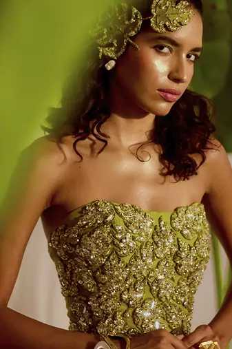 Green plain organza lehenga with embroidered bustier