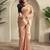 Peach zari tissue weaving saree with all over pichwai pattern