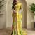 Multicolor Printed Georgette Weaving Saree with blouse