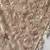 Beige Pure loom tussar saree with all over designer embroidery