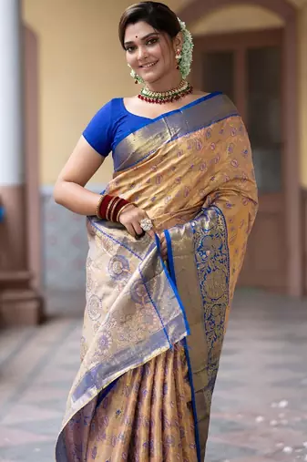 embellished banarasi silk blend saree (beige)