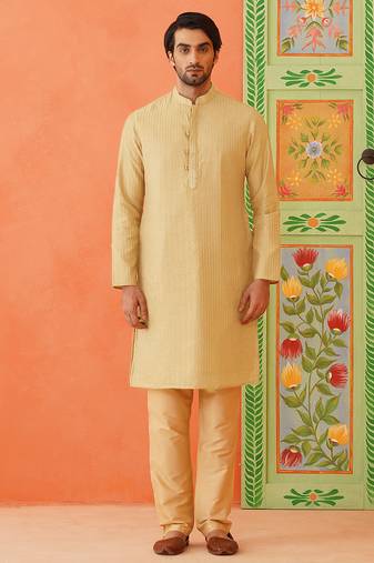 Fawn embroidered kurta set