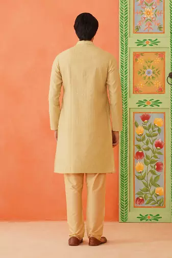 Fawn embroidered kurta set