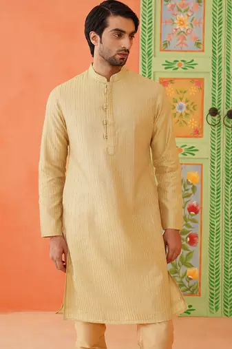 Fawn embroidered kurta set