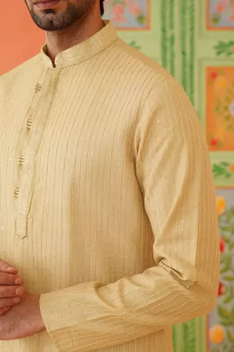 Fawn embroidered kurta set