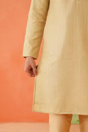 Fawn embroidered kurta set