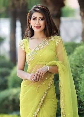 Parrot Green soft Nylon Net Zari Embroidered Saree 4