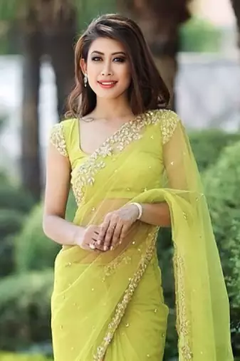 Parrot Green soft Nylon Net Zari Embroidered Saree