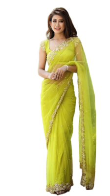 Parrot Green soft Nylon Net Zari Embroidered Saree 5