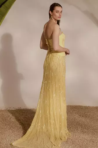 yellow embroidered organza lehenga with bustier