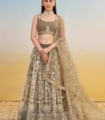 Ivory Embroidery Net A Line Lehenga With Blouse