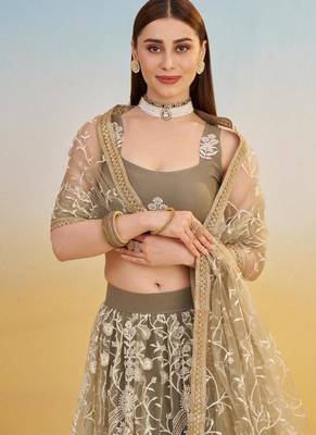 Ivory Embroidery Net A Line Lehenga With Blouse 3