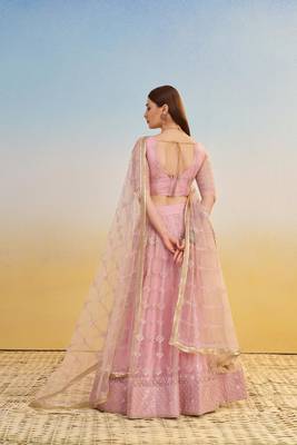 Light Pink embroidered Net A Line Lehenga With Blouse 3