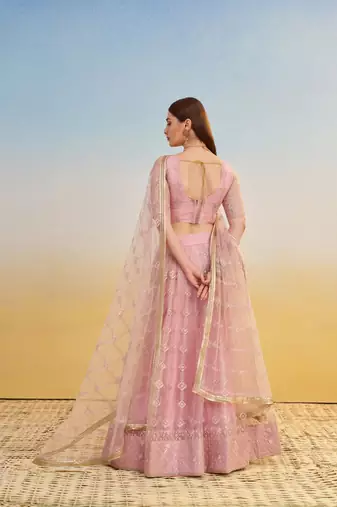 Light Pink embroidered Net A Line Lehenga With Blouse