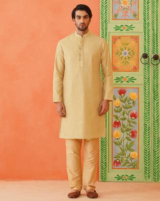 Fawn embroidered kurtas 1